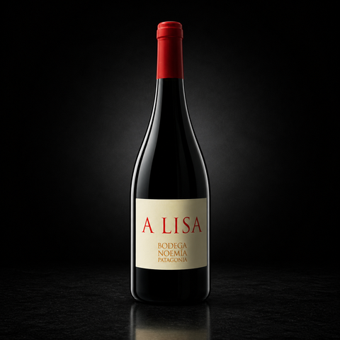 A LISA MALBEC NOEMIA 750ML